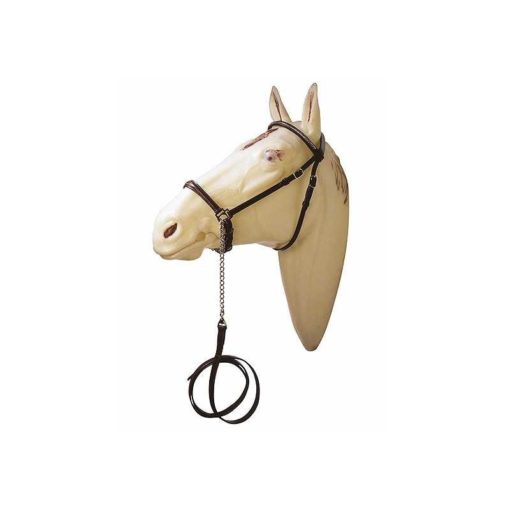 Pristatymas kamanos Arabijos arklys su metaliniais ornamentais Juoda