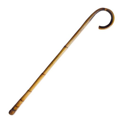 두꺼운 천연 곤봉이 있는 갈대 지팡이