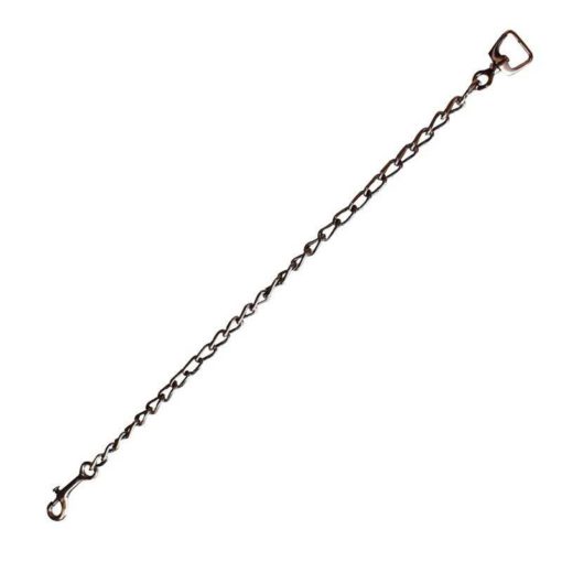 Stainless Steel Branch Chain With Carabiner