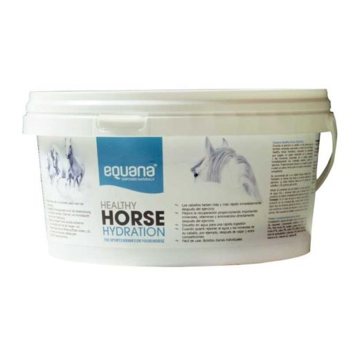 Equana Healthy Horse Hydration960g