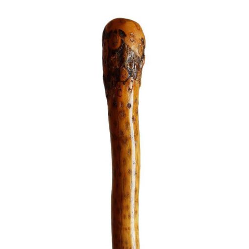 Štap za stoku od trske s prirodnom palicom